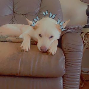 Meet your Posher, Michaela